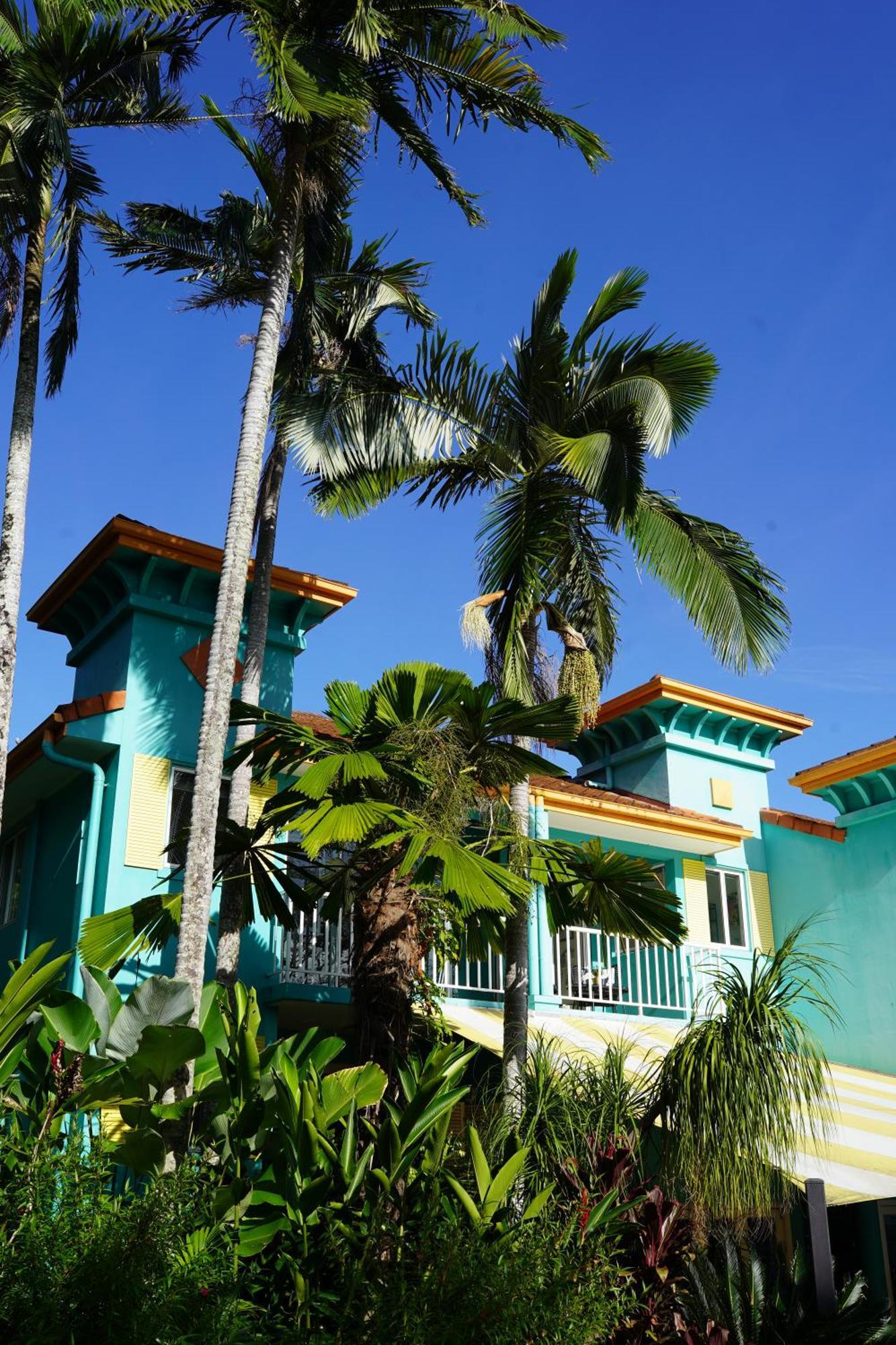 Casa Papaya Adults Only Apartment Port Douglas Eksteriør bilde